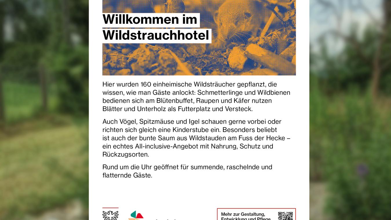 Stadt Aarau – Kommunikationskampagne «Weitsicht»